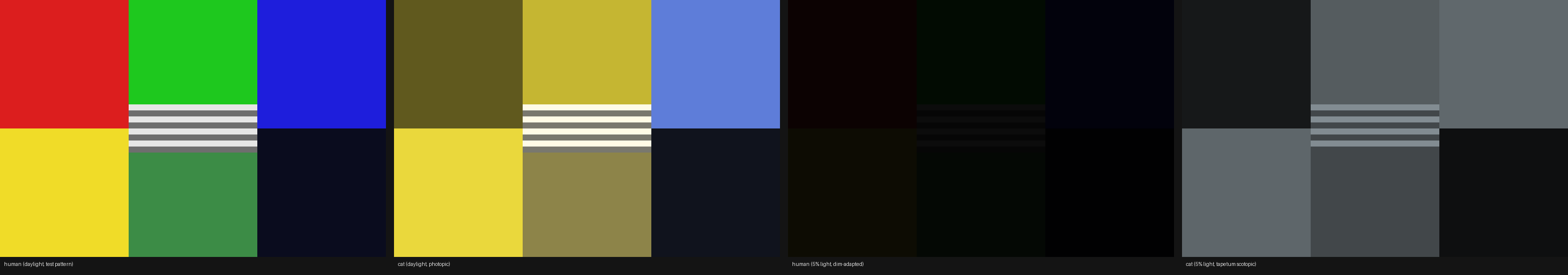 Four-panel comparison of human and cat vision in daylight and 5% illumination